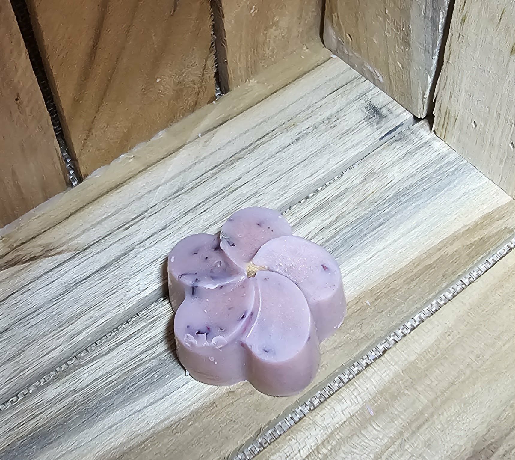Collection - Fleurs de Frangipanier