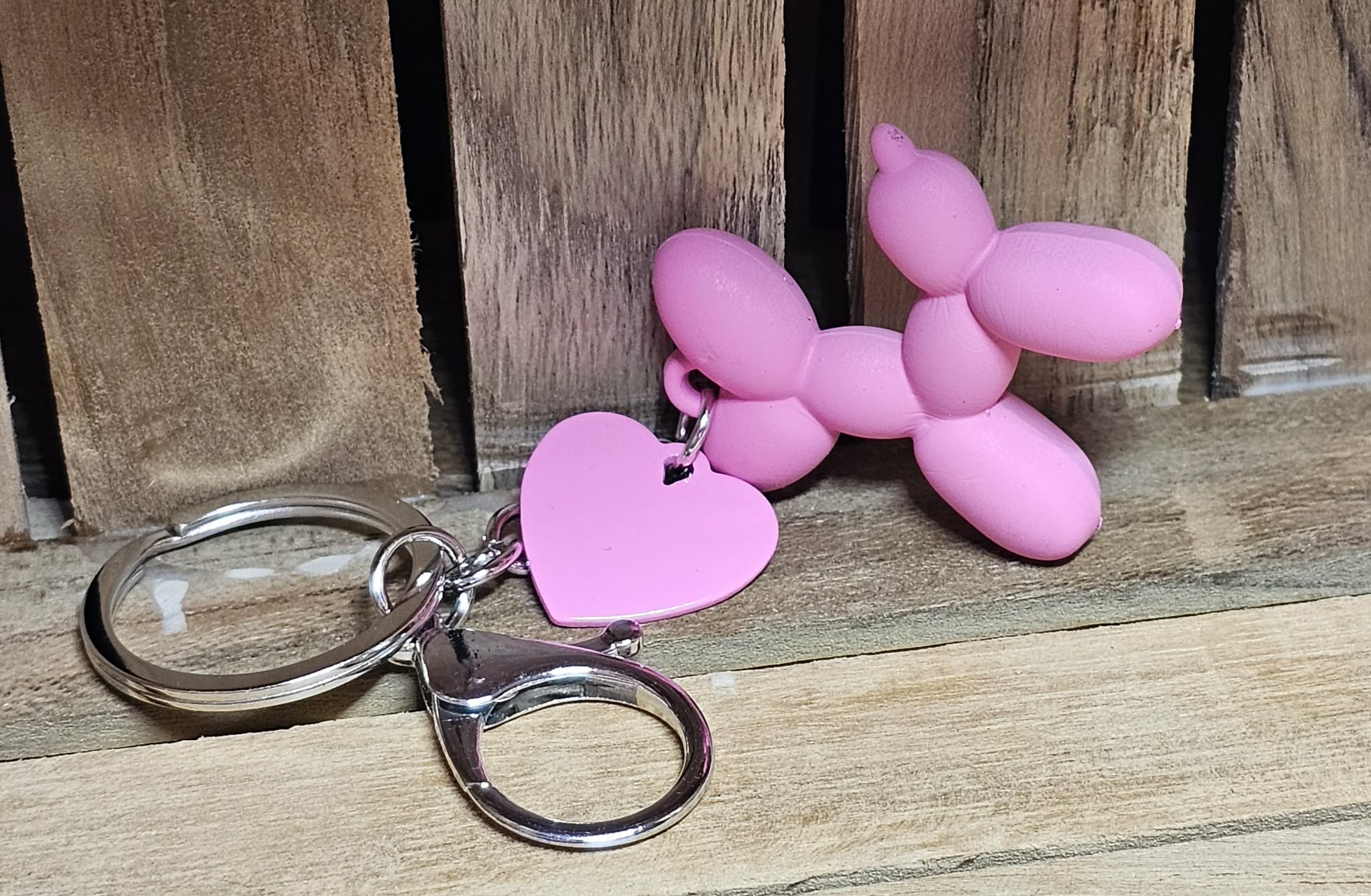 Porte-Clé Chien Coloré Ballon Dog