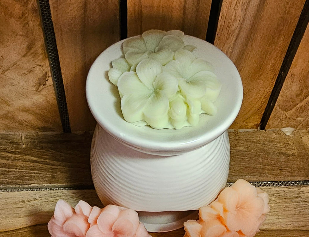 Coffret - Douce Parenthèse