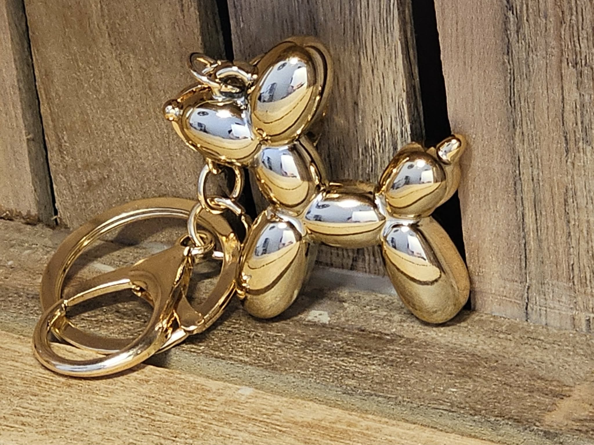 Porte-Clé Chien Miroir Ballon Dog