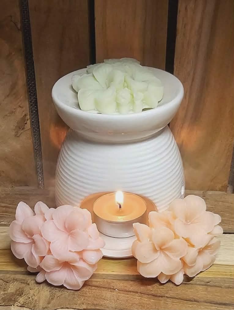 Coffret - Douce Parenthèse