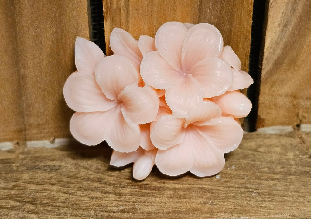 Coffret - Douce Parenthèse