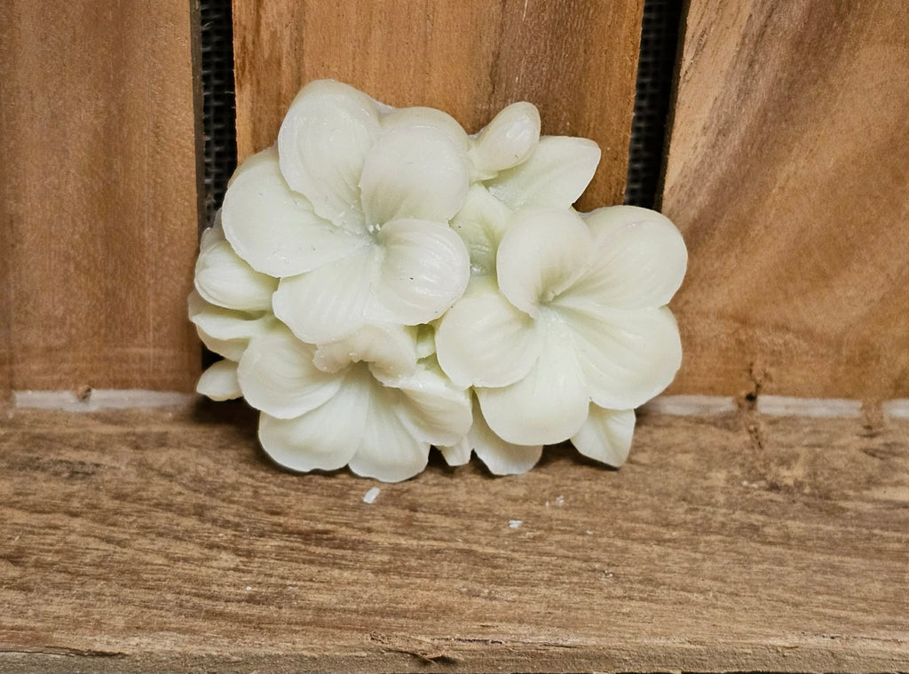 Coffret - Douce Parenthèse