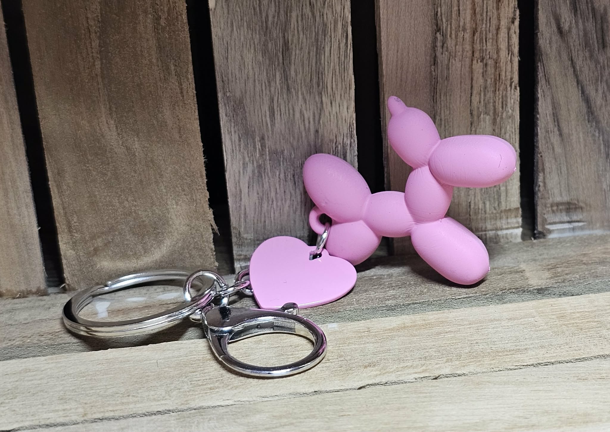 Porte-Clé Chien Coloré Ballon Dog